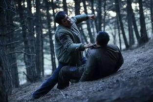 国配电影在线观看,在线观看，畅享视听盛宴